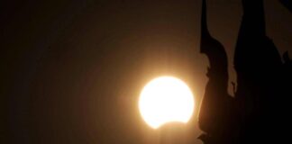 Eclissi, anche gli animali la vedranno: i consigli per non farli agitare