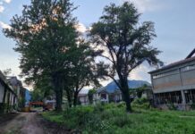 Bonifica Ex Lanerossi a Schio: abbattimento alberi e diffida di Legambiente, ma il Comune si spiega e tira dritto Ex Lanerossi Alberi bonifica