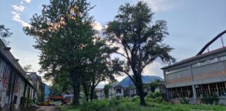 Bonifica Ex Lanerossi a Schio: abbattimento alberi e diffida di Legambiente, ma il Comune si spiega e tira dritto Ex Lanerossi Alberi bonifica