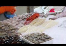 Fermo pesca in tutto l’Adriatico, lo stop fino al 29 settembre