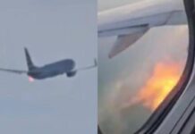 Fiamme da un aereo American Airlines dopo il decollo e atterraggio d’emergenza: “Uccelli hanno colpito il motore”