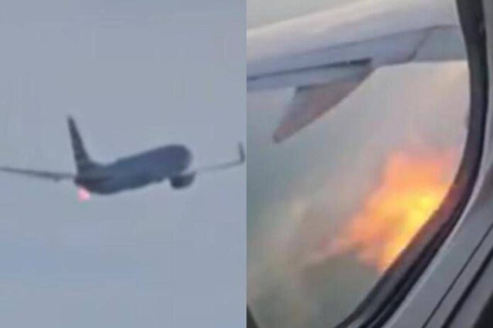Fiamme da un aereo American Airlines dopo il decollo e atterraggio d’emergenza: “Uccelli hanno colpito il motore”