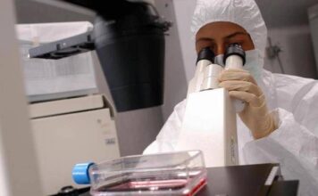 Florida, cresce l’allarme per il batterio mangiacarne: c’è una seconda vittima