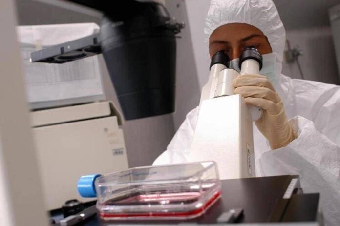 Florida, cresce l’allarme per il batterio mangiacarne: c’è una seconda vittima