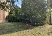 Vicenza, la Diocesi dona il Giardino di Santa Corona al Comune Giardino di Santa Corona Vicenza