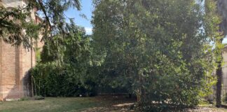 Vicenza, la Diocesi dona il Giardino di Santa Corona al Comune Giardino di Santa Corona Vicenza