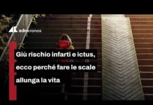 Giù rischio infarti e ictus, la dose di rampe che allunga la vita