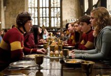 Harry Potter, la protesta dei fan: spostato il cavo sottomarino per la ‘tomba’ di Dobby