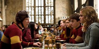 Harry Potter, la protesta dei fan: spostato il cavo sottomarino per la ‘tomba’ di Dobby