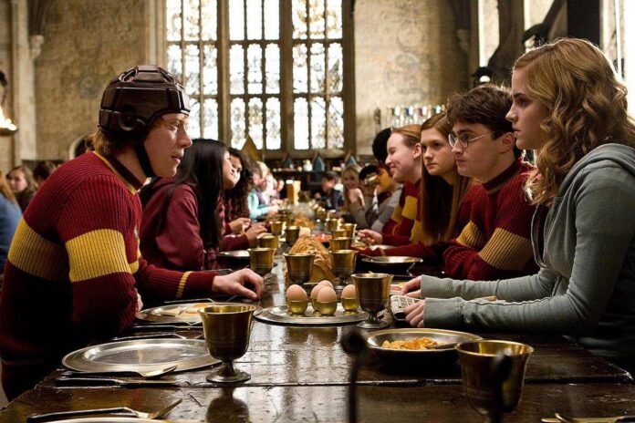 Harry Potter, la protesta dei fan: spostato il cavo sottomarino per la ‘tomba’ di Dobby