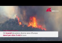 Incendi in Europa, danni per oltre tre miliardi di euro