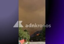 Incendi in Sardegna, notte di fuoco ad Arzana: dall’alba in volo due Canadair – Video
