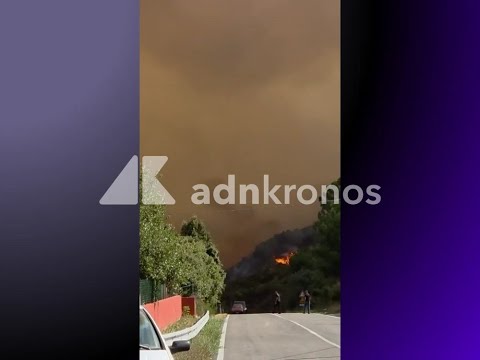 Incendi in Sardegna, notte di fuoco ad Arzana: dall’alba in volo due Canadair – Video