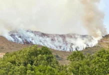 Prosegue incendio esploso su Monte Formiga, al confine tra Vicentino e Veronese Incendio Monte Formiga - Valle dell'Agno