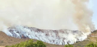Prosegue incendio esploso su Monte Formiga, al confine tra Vicentino e Veronese Incendio Monte Formiga - Valle dell'Agno