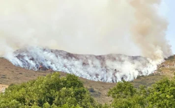 Prosegue incendio esploso su Monte Formiga, al confine tra Vicentino e Veronese Incendio Monte Formiga - Valle dell'Agno