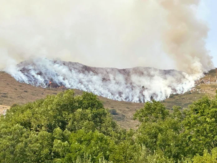 Incendio Monte Formiga - Valle dell'Agno Incendio Monte Formiga - Valle dell'Agno