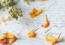 Lettera d’addio all’Elba… di 29 anni fa: “Non ci vedremo più amica mia”