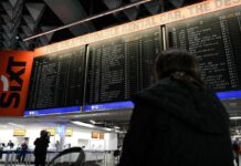 Malaria all’aeroporto di Francoforte, 1 morto e 5 casi tra i dipendenti: rafforzati i controlli