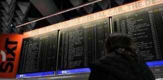 Malaria all’aeroporto di Francoforte, 1 morto e 5 casi tra i dipendenti: rafforzati i controlli