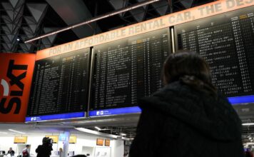 Malaria all’aeroporto di Francoforte, 1 morto e 5 casi tra i dipendenti: rafforzati i controlli