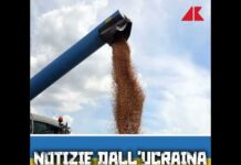 Mosca attacca navi e porti, è guerra del grano – Notizie dall’Ucraina podcast, Adnkronos