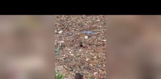 Nepal, bambino sommerso tra i detriti, le persone riprendono la scena invece di aiutarlo