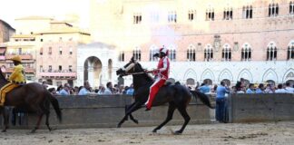 Palio Siena, la Contrada della Giraffa vince la terza prova