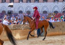 Palio Siena, la Contrada della Torre vince la quarta prova