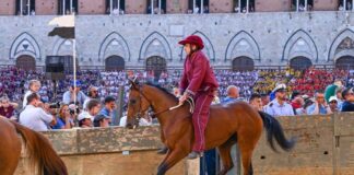 Palio Siena, la Contrada della Torre vince la quarta prova