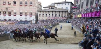 Palio di Siena, Tittia fa 13: ecco chi è il fantino che ha fatto trionfare il Nicchio
