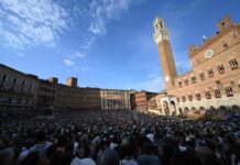 Palio di Siena, il programma delle prove regolamentate