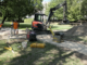 Vicenza, lavori a Parco Querini. Il Comune: “Sempre più accessibile” Alberi in pianura ad Arzignano