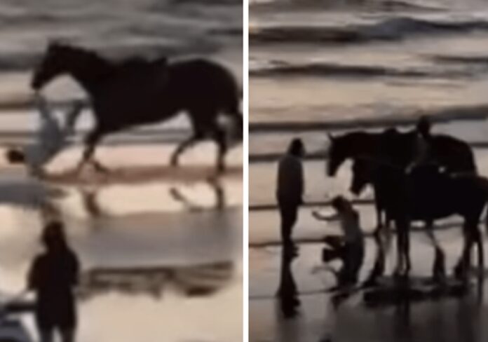 Paura per Belen, l’incidente con il cavallo: “Ho fatto una capriola tipo Dragon Ball”