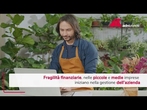 Piccole e medie imprese, fragilità finanziarie iniziano nella gestione dell’azienda