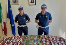 Montecchio Precalcino: ha 7 chili di droga in casa: polizia locale Nordest Vicentino arresta un 22enne montecchio precalcino droga