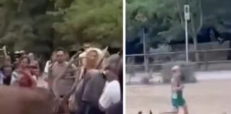 Prova a toccare un cervo e viene ‘caricato’: il video virale