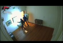 Quadri di Cezanne, Renoir e Matisse rubati a Parma, il video dei ladri all’opera