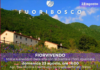 Fuoribosco 2026, a Schio Dante incontra fiori e musica con “Fiorvivendo” Fuoribosco