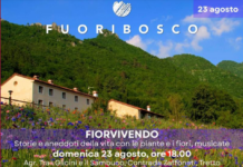 Fuoribosco 2026, a Schio Dante incontra fiori e musica con “Fiorvivendo” Fuoribosco