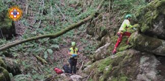 Tenta di salvare 13enne precipitato in una scarpata nel Bosco del Corniglio: morto capo scout