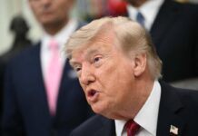 Usa-Iran, il nuovo piano di Trump: ‘mini attacchi’ nello Stretto di Hormuz