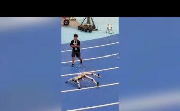 World Robot Conference, malfunzionamenti per due robot umanoidi