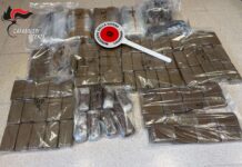 Zugliano, carabinieri sequestrano 14 chili di hashish in una zona rurale: fondamentale segnalazione di un cittadino Zugliano Hashish