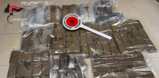 Zugliano, carabinieri sequestrano 14 chili di hashish in una zona rurale: fondamentale segnalazione di un cittadino Zugliano Hashish