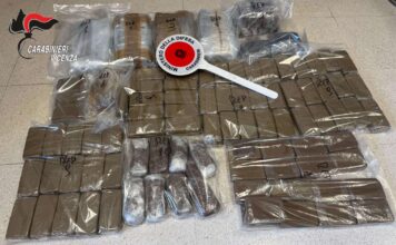 Zugliano, carabinieri sequestrano 14 chili di hashish in una zona rurale: fondamentale segnalazione di un cittadino Zugliano Hashish