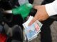Carburanti, si ferma la corsa dei prezzi: quanto costano benzina e diesel oggi