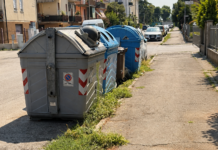 Degrado nei quartieri, Aldighieri (FdI) attacca Possamai: «Vicenza merita più cura» Degrado nei quartieri di Vicenza con erbacce lungo il marciapiede