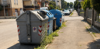 Degrado nei quartieri, Aldighieri (FdI) attacca Possamai: «Vicenza merita più cura» Degrado nei quartieri di Vicenza con erbacce lungo il marciapiede