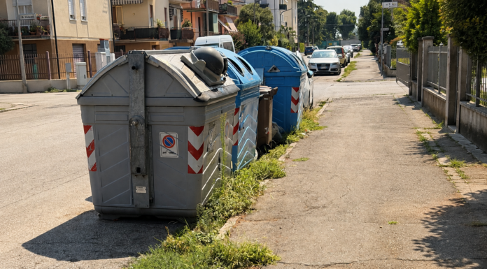 Degrado nei quartieri, Aldighieri (FdI) attacca Possamai: «Vicenza merita più cura» Degrado nei quartieri di Vicenza con erbacce lungo il marciapiede